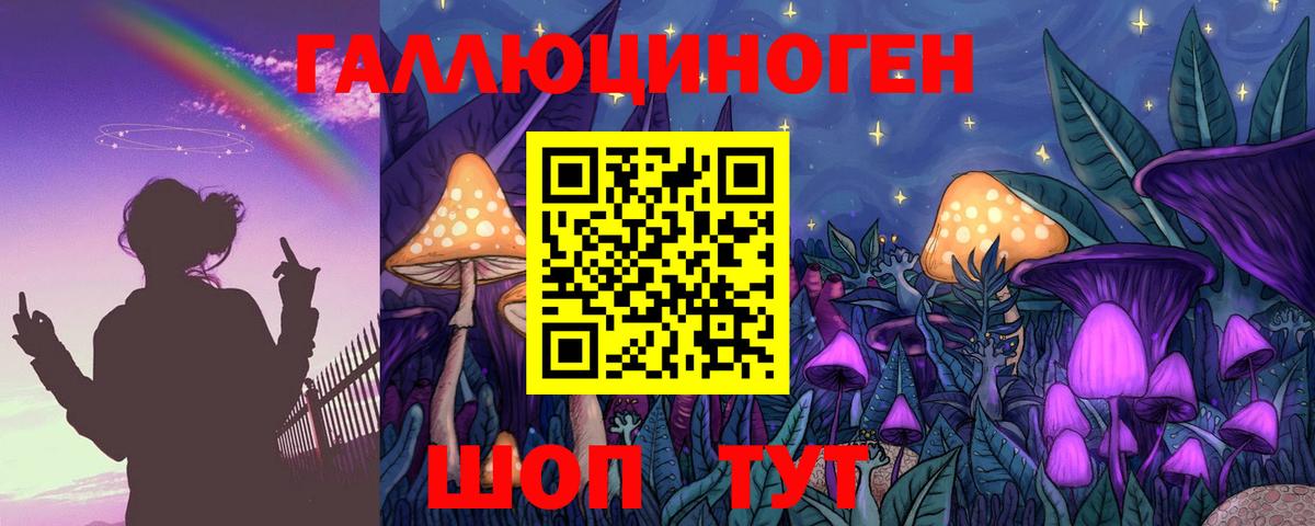 Сорочинск  Галлюциногенные грибы Psilocybe  Вход с VPN 